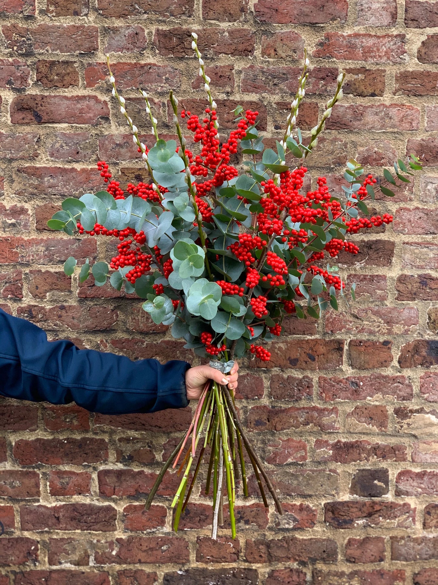 Berrys And Irish Eucalyptus