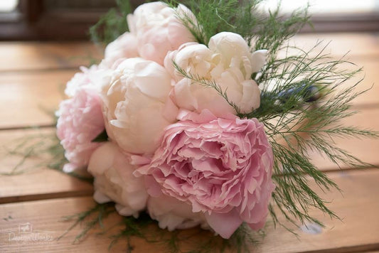 Just Peony's