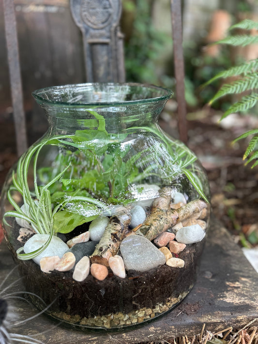 Close-up of The Glass Garden terrarium showing detailed natural driftwood and textured layered stones with hardy greenery inside a glass dome, handcrafted by Wisteria Florist