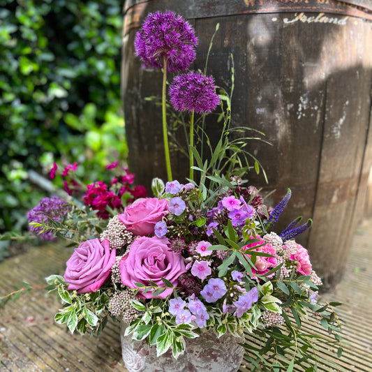 allium ands roses flower arrangement in a concret container