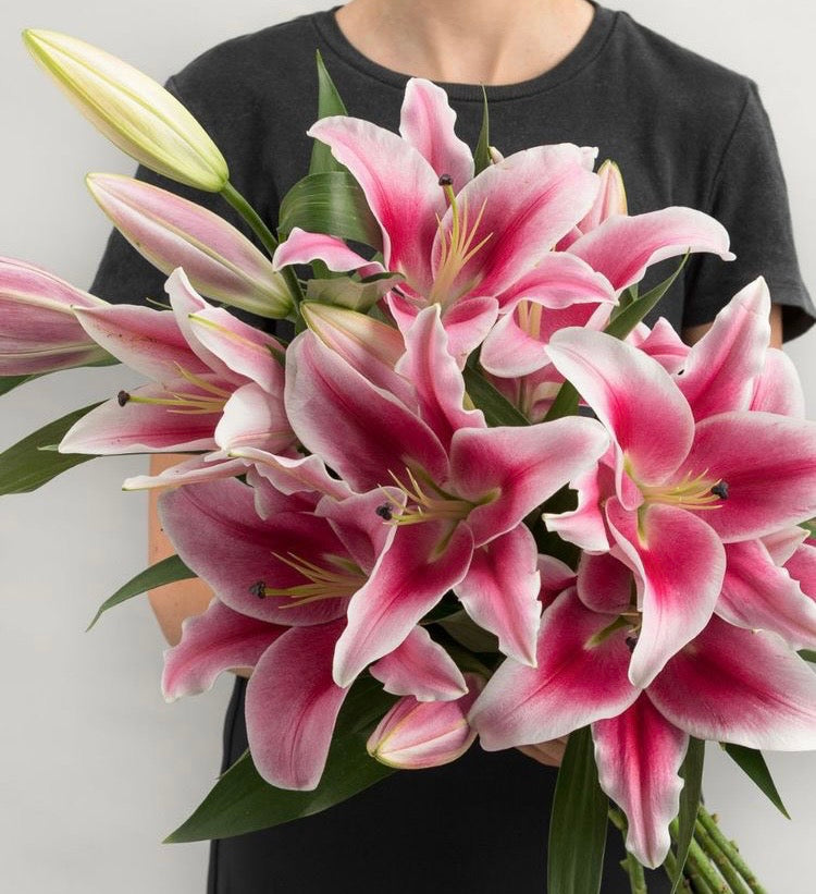Just Lily’s