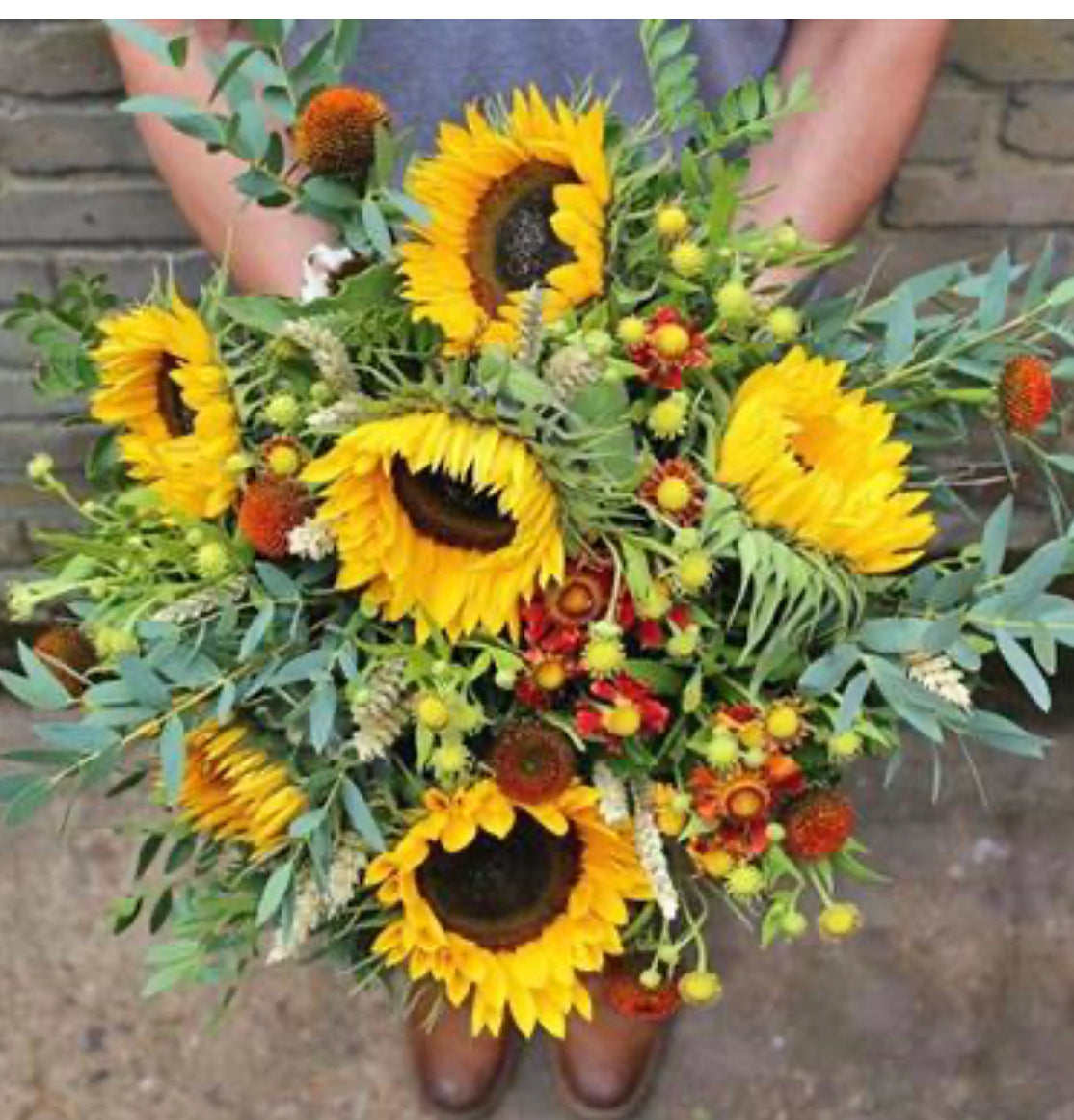 Sun Flowers