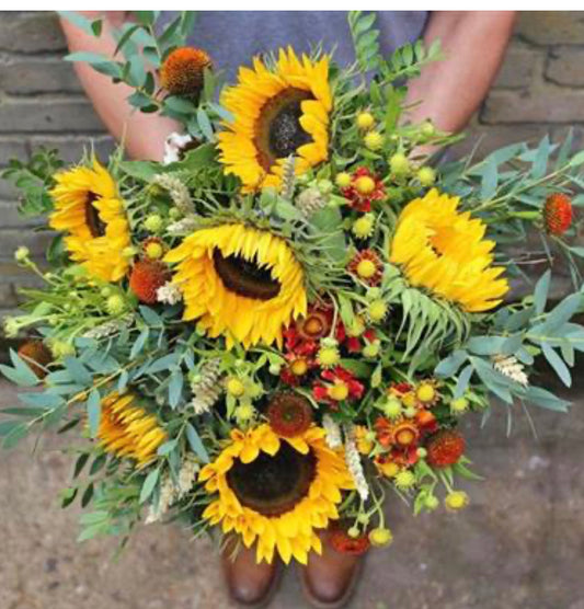 Sun Flowers